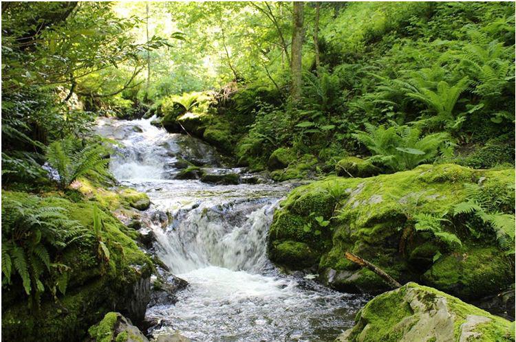 აჭარის ეროვნული პარკები