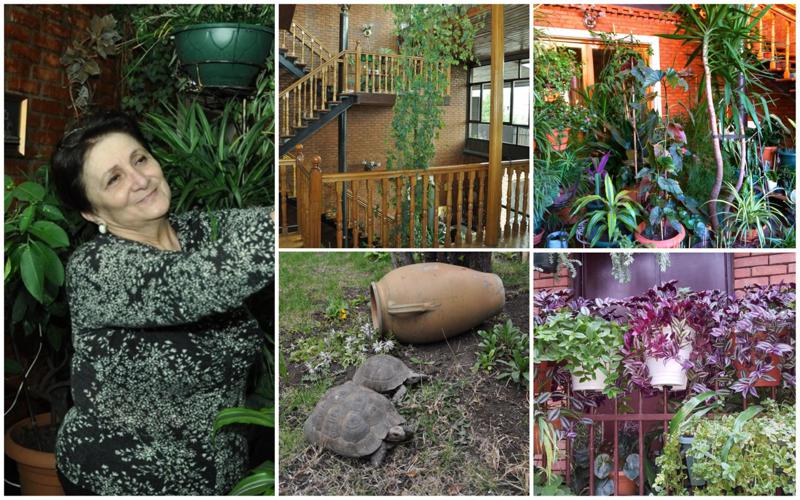 "მითხრა, აქ საკუთარი წალკოტი გექნებაო და გამიკეთა კიდეც... თავად ავტოკატასტროფაში დაიღუპა" - ვინ არის ულამაზესი "ზამთრის ბაღის" მეპატრონე