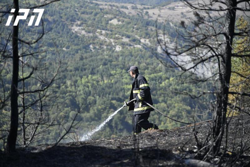 მესტიის სოფელ ლატალის მიმდებარედ წიწვოვან ტყეში ხანძარია
