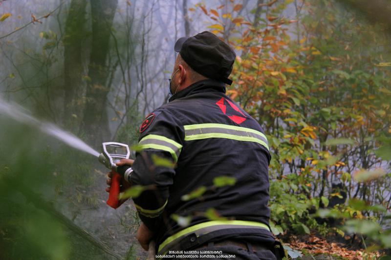 საგანგებო სიტუაციების მართვის სამსახური: "ლატალის ტყეში გაჩენილი ხანძრის ლოკალიზება მოხერხდა"