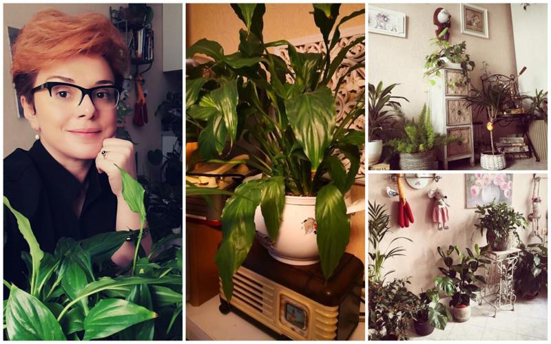 "მცენარეების სახით ჩემს სახლში ბევრი სულიერი არსებაა" - ვინ არის გაეროს ქართველი თანამშრომელი, რომელმაც ვაკეში ულამაზესი ორანჟერეა მოაწყო