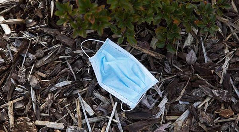 რას ყვება ადგილობრივი წალკაში მომხდარ ყაჩაღობაზე - "ყაჩაღებს სამედიცინო ნიღბები ეკეთათ და კეპები ეფარათ"