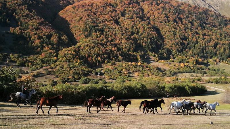ღორჯომი – ცხენოსნებისა და ალპური პეიზაჟების ხეობა აჭარაში