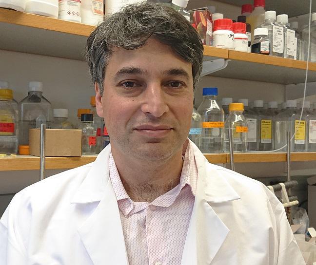 "ყველაზე უარესი სცენარი ის იქნება, რომ ვაქცინამ გვერდითი მოვლენები გამოიწვიოს..." - მერილენდის უნივერსიტეტის პროფესორის ექსკლუზიური ინტერვიუ