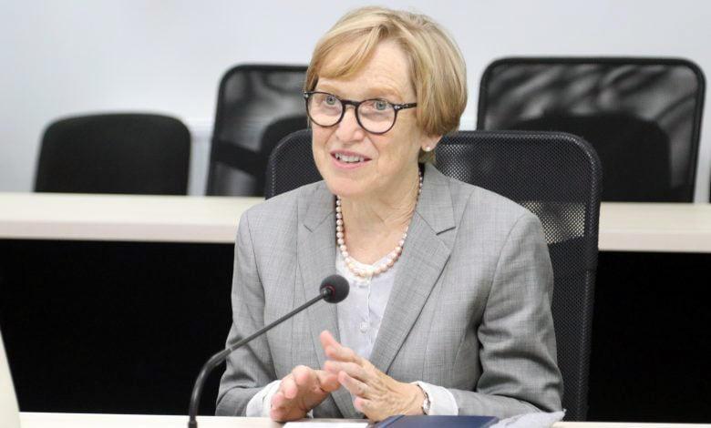 "უბნებთან კოორდინატორების, აქტივისტების ყოფნა, დამაშინებელ ეფექტს ქმნიდა" - როგორ აფასებს არჩევნებს საერთაშორისო სადამკვირვებლო მისიის ხელმძღვანელი