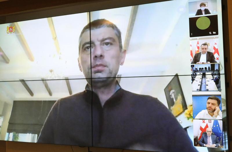 "კარგად გრძნობს თავს, სახლიდან აგრძელებს მუშაობას... შეხება არ ჰქონია ბატონ ბიძინასთან" - მაია ცქიტიშვილი პრემიერისა და მთავრობის წევრების მდგომარეობაზე