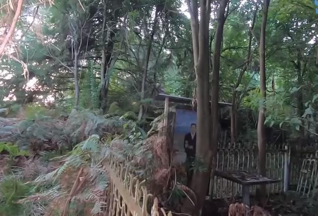 "ზუსტად ასეთი გაპარტახებული წარმომედგინა..." - ტყედ ქცეული ქართველთა საფლავები აფხაზეთში, რომელიც რუსი ბლოგერის ობიექტივში მოხვდა