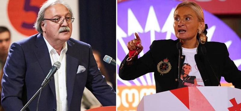 "თუ ეს განცხადება მართალი აღმოჩნდება და ეს ადამიანი პარტიის თავმჯდომარედ დარჩება, მიმიფურთხებია ამ პარტიისთვის!" - ნანუკა ჟორჟოლიანი გრიგოლ ვაშაძის სახელით გავრცელებულ განცხადებაზე