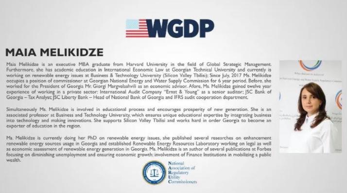 სემეკის წევრი, მაია მელიქიძე ენერგეტიკის სექტორში გენდერული თანასწორობის ღონისძიებაზე სიტყვით წარდგა