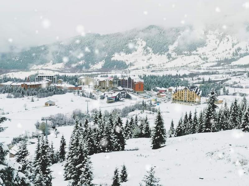 სად თოვს დღეს საქართველოში - ულამაზესი ფოტო და ვიდეოკადრები დათოვლილი რეგიონებიდან