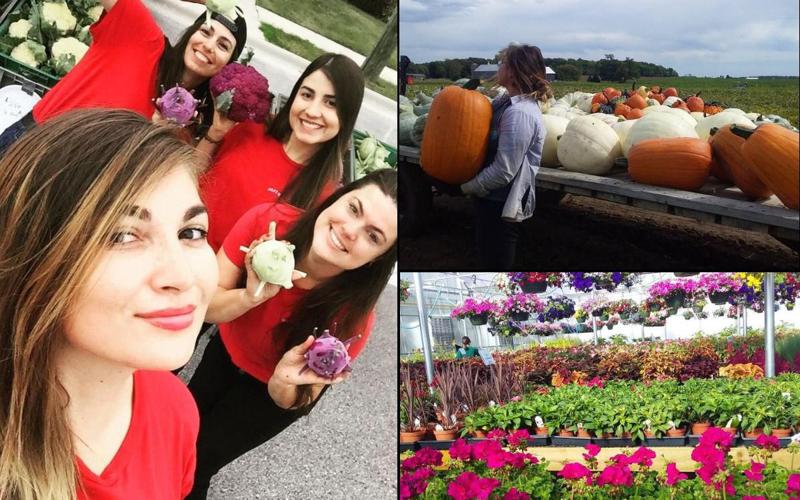 ვანელი ფერმერი ლედი ამერიკული გამოცდილებით - "ამერიკაში აგრარული სექტორი მაღალ საფეხურზეა, საქართველოში უმეტესად ხელით შრომა გვიწევს"