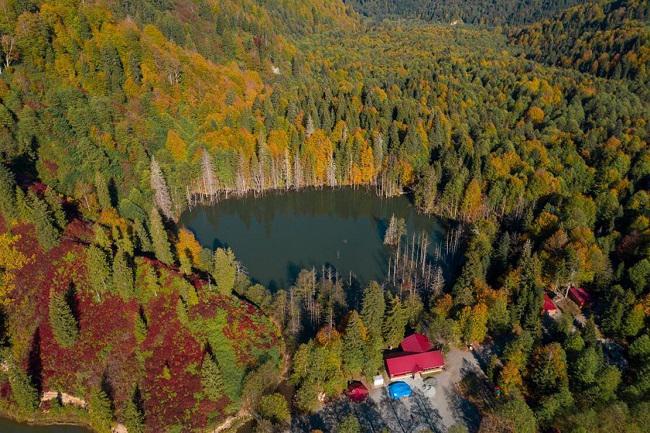 "შემოდგომა ართვინში: მაჭახელას სილამაზე“ -  ფოტოები საქართველოს ისტორიული მხარიდან