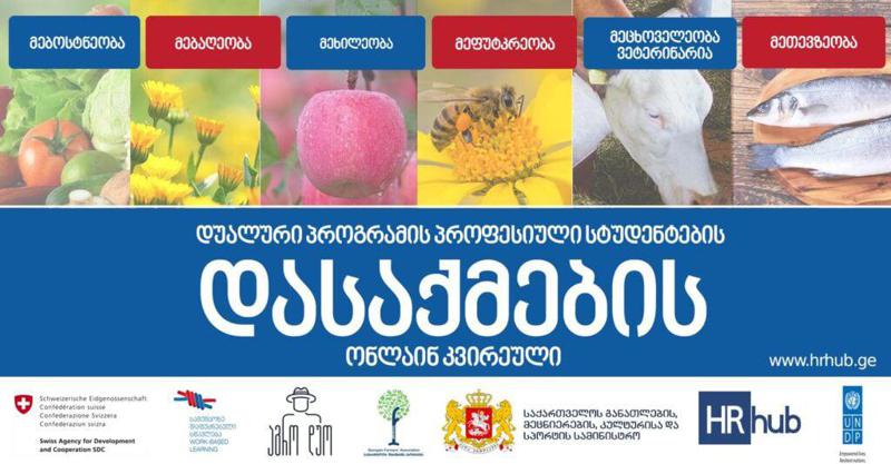 1 დეკემბრიდან 7 დეკემბრის ჩათლით, პროფესიული სტუდენტებისა და კურსდამთავრებულებისთვის დასაქმების ონლაინ კვირეული გაიმართება
