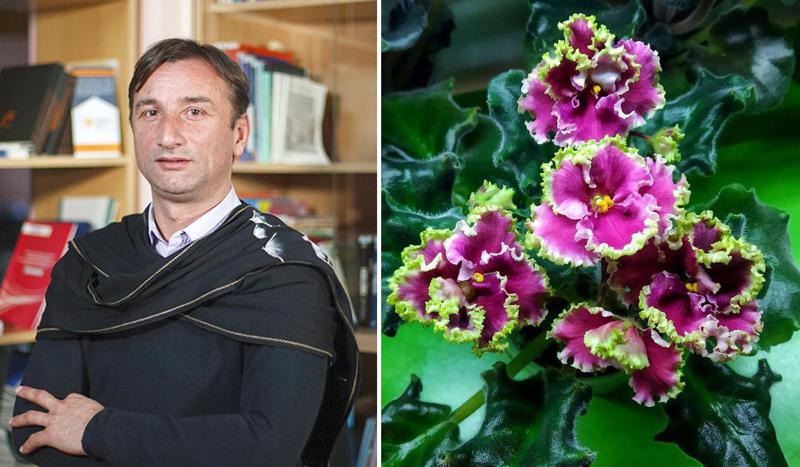 "მშობლებს ინტერნეტის ფული არ აქვთ, ბავშვები ონლაინგაკვეთილებს ვერ ესწრებოდნენ.. ქოთნებში ია გავახარეთ და მათი გაყიდვით შევაგროვეთ თანხა" - ლადო აფხაზავას უჩვეულო მეთოდი მოსწავლეების დასახმარებლად