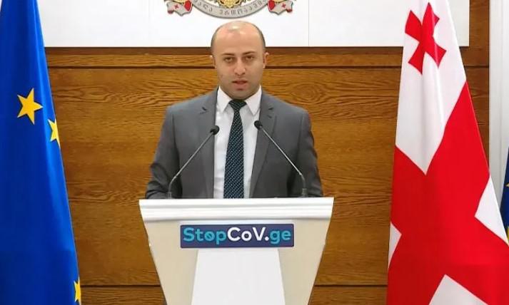 "დღეიდან 1-ელ თებერვლამდე პერიოდში კორონავირუსზე ინტენსიური ტესტირების პროგრამა იმოქმედებს" - ბერდია სიჭინავა