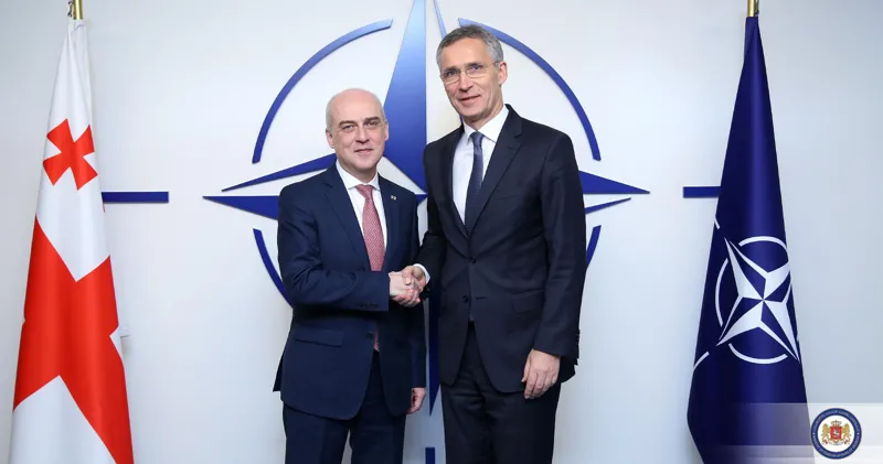 "სასიცოცხლო მნიშვნელობის დოკუმენტი საქართველოსთვის" - რა წერია ნაშრომში, რომელიც ექსპერტების ჯგუფმა ნატო-ს გენმდივნის დავალებით მოამზადა