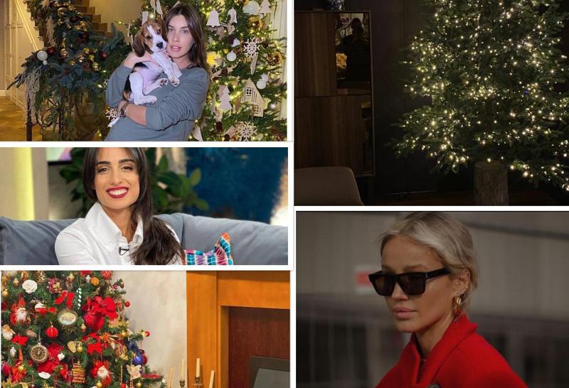 ქართველი ვარსკვლავების საახალწლო დეკორაციები - როგორ მორთეს მათ ნაძვის ხეები დღესასწაულისთვის (ფოტოები)