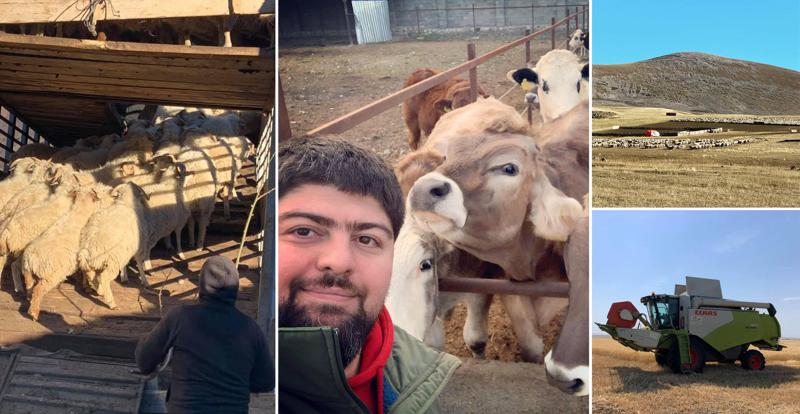 "მუშახელს ვერ ვშოულობთ. შრომა არ უნდათ..." - ახალგაზრდა ფერმერი დედოფლისწყაროდან, რომელიც საუკუნოვან ოჯახურ მეურნეობას უძღვება