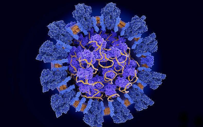 კორონავირუსის ახალი სახეობა უფრო სწრაფად ვრცელდება - რას აცხადებენ ჯანმოში და რა არის ცნობილი ახალი ვირუსის შესახებ