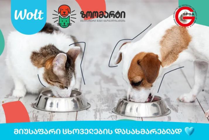 Zoomart-ის და Wolt-ის საახალწლო საჩუქარი მიუსაფარ ცხოველებს