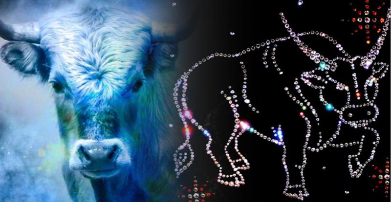 2021 წლის სრული ასტროლოგიური პროგნოზი მამაკაცი და ქალი კუროებისთვის