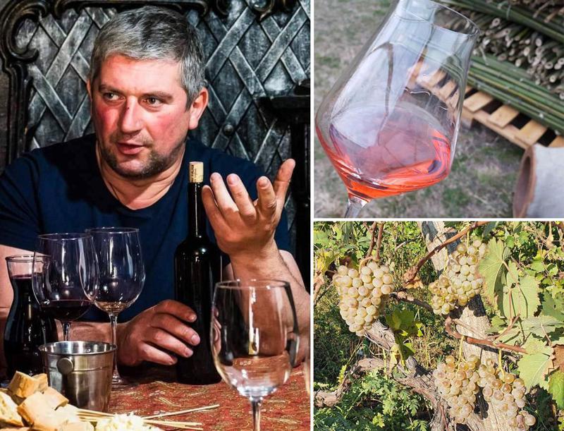 "მეღვინეობა-მევენახეობაში ჩემი სამედიცინო განათლება კარგად მადგება" - ცნობილი ექიმი-მეღვინე ახმეტიდან და პაპისეული საუკუნოვანი მარანი