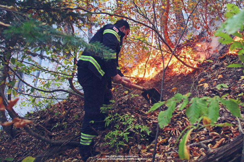 რა ვითარებაა ქვეყნის მასშტაბით ტყეებსა და მინდვრებში, სადაც ხანძრის ქრობა ამ დრომდე გრძელდება