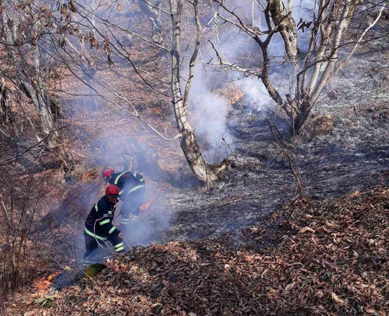 მეხანძრეებმა რამდენიმე დღე მუშაობის შემდეგ, ტყისა და მინდვრის ხანძრები სრულად ჩააქრეს - "4 იანვრიდან დღემდე 300-ზე მეტი ხანძარი დაფიქსირდა"