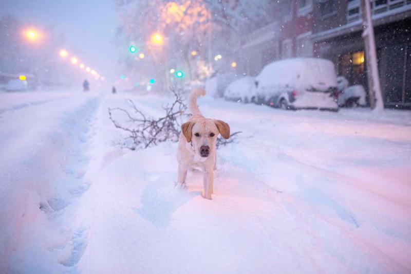 ესპანეთში, სადაც წლებია არ მოუთოვია, გადაუღებლად თოვს - ფოტოები დათოვლილი ქუჩებიდან