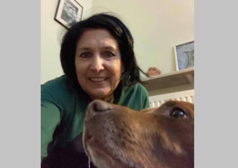 "გომბორა განიცდის ფეიერვერკებს, ვაწყნარებ და ერთად ველოდებით 12 საათს" - როგორ ულოცავს პრეზიდენტი საზოგადოებას ძველით ახალ წელს?