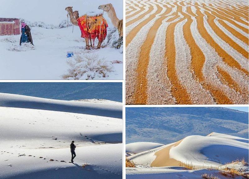 საჰარაში თოვლი მოვიდა - უჩვეულო და შთამბეჭდავი ფოტოები უდაბნოდან