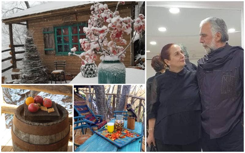 "აქ შეიძლება, მელამ ჩაისეირნოს, ისმის ყმუილიც... ყველაფერს ქოხიდან ვმართავთ" - ტყეში გადასახლებული ცნობილი ცოლ-ქმარი და ხელით შექმნილი ზღაპრული გარემო
