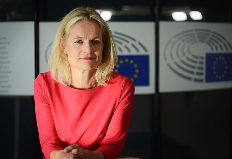 "საქართველო ევროკავშირის წევრობიდან იმდენად შორს არის, რამდენადაც შეგვიძლია წარმოვიდგინოთ" - ევროპარლამენტარი