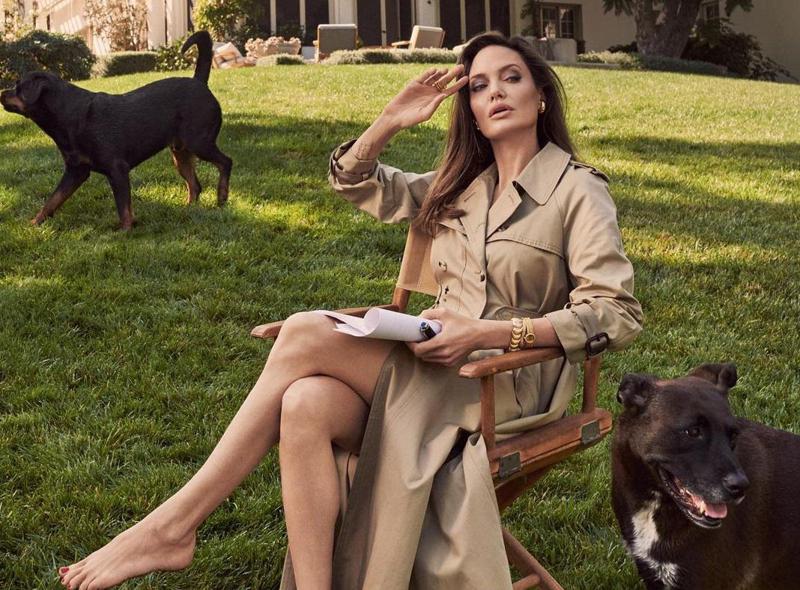 "მომწონს დაბერება, ეს თითქოს გამარჯვებაა...მე მოსაწყენი და ცოტა უფრო შეშლილი ვარ, ვიდრე სხვებს ჰგონიათ" - ანჯელინა ჯოლი