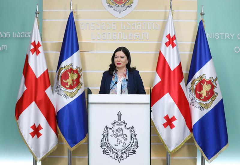 "მედიასთან კარგი თანამშრომლობის მაგალითი საკმაოდ ბევრია, ამაზე საჯარო მადლობა მაშინაც ვთქვი და ახლაც ვიტყვი" - ნინო გიორგობიანი