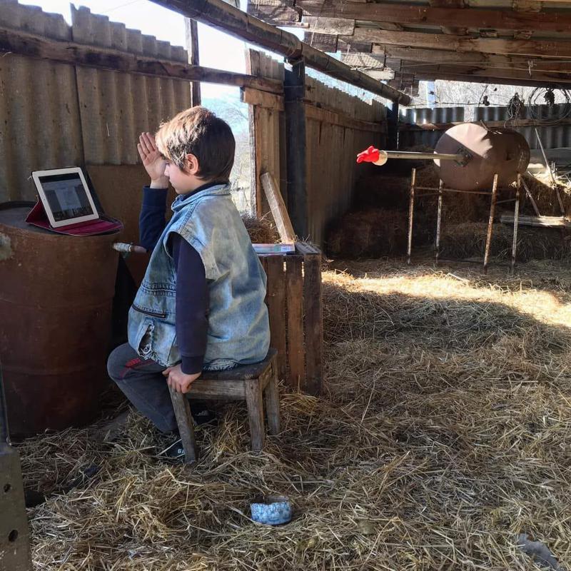 დღის ფოტო კახეთიდან: მოსწავლე ონლაინ გაკვეთილზე სათივედან ერთვება