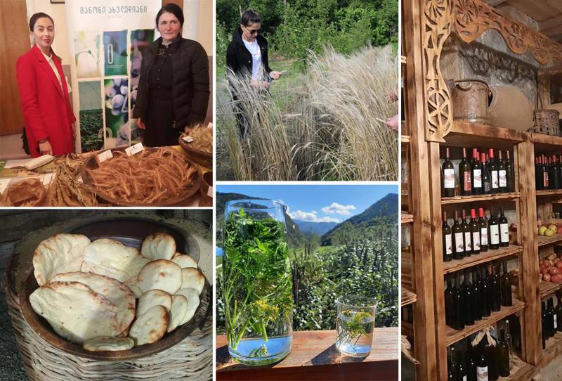 პედაგოგი ლეჩხუმიდან, რომელმაც ხორბლის ენდემური სახეობა გააცოცხლა - "მაქვს ბოსტანი, მივდევ მეცხოველეობას, ვიღებ თაფლს, ვაყენებ ღვინოს, ძირითადად, მარტო ვმუშაობ"