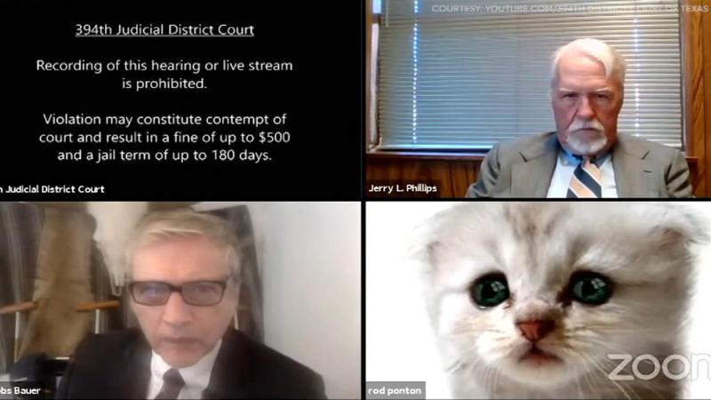 "კატა არ ვარ" - ონლაინ სასამართლო სხდომას ტეხასელი ადვოკატი კატის ფილტრით ჩაერთო: ახალი ინტერნეტჰიტი