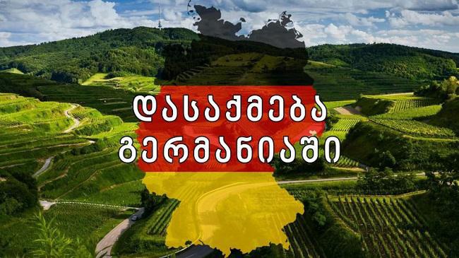 გერმანიაში ლეგალურად დასაქმებისთვის გუშინ ამოქმედებულ პორტალზე სააპლიკაციო ფორმა 35 121 ადამიანმა შეავსო