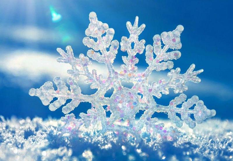 როგორი ამინდი იქნება საქართველოში 26 თებერვლის ჩათვლით - გარემოს ეროვნული სააგენტოს განახლებული ინფორმაცია