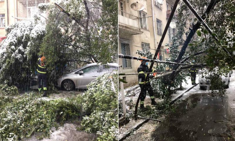 "დაზიანდა 26 ავტომობილი, მოტეხილმა ხის ტოტებმა დააზიანა ელსადენები" - დიდთოვლობის გამო, საგანგებო სამსახურში 140 შეტყობინება შევიდა