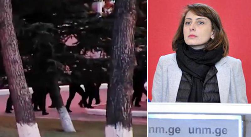 "ჩვენი ინფორმაციით, ხელისუფლება "ნაციონალური მოძრაობის" ოფისში პროვოკაციას გეგმავს" - ხატია დეკანოიძე