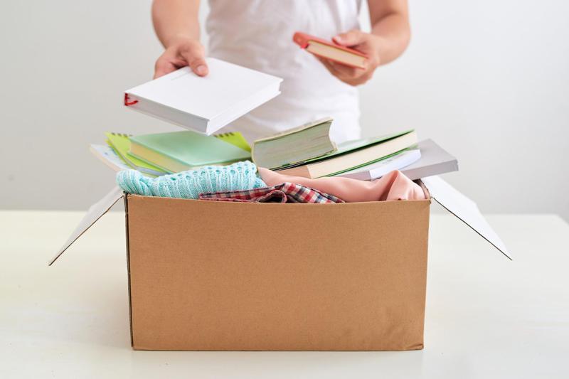 წიგნები და საჩუქრები ლიტერატურის მოყვარულებისთვის – მალე ქართულ ბაზარზე „ლიტბოქსი“ გამოჩნდება