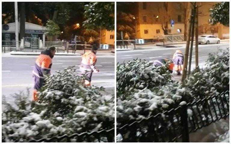 რატომ ყრიდნენ მელიქიშვილის ქუჩაზე მარილს ხელით - "თბილსერვის ჯგუფის" განმარტება