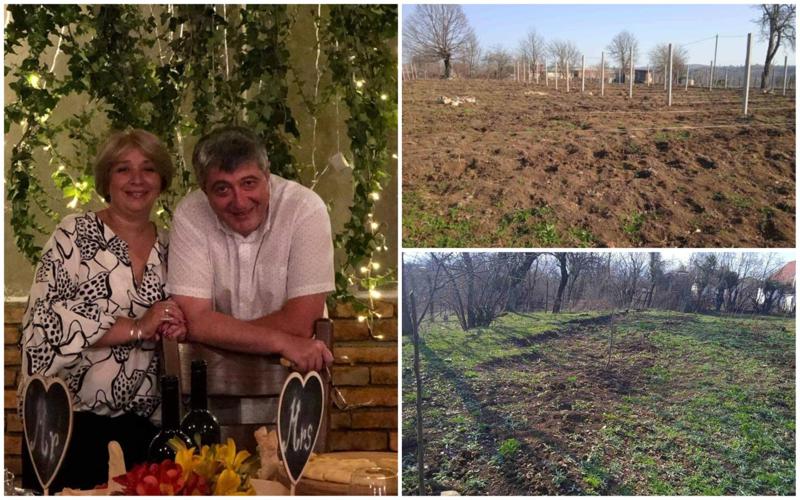 "ერთ დღეს კაბინეტში კაცი გამომეცხადა და მითხრა, რომ ნაკვეთში ბოძები და ტროსი ჩაიტანა" - რას ჰყვება ცნობილი რეჟისორი, რომელიც პანდემიისას მიწას შეეჭიდა