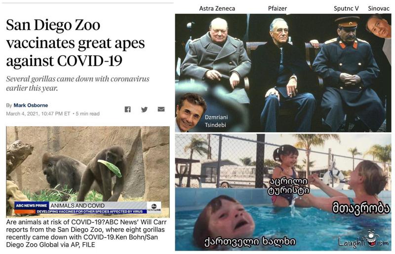 "სან დიეგოს ზოოპარკში მაინც წაგვიყვანონ... აცრილი ტურისტების ხელით შეხებაც შეგვეძლება თუ იცით?!" - ვაქცინაციის თემაზე "ფეისბუქში" სასაცილო "მიმები" ვრცელდება