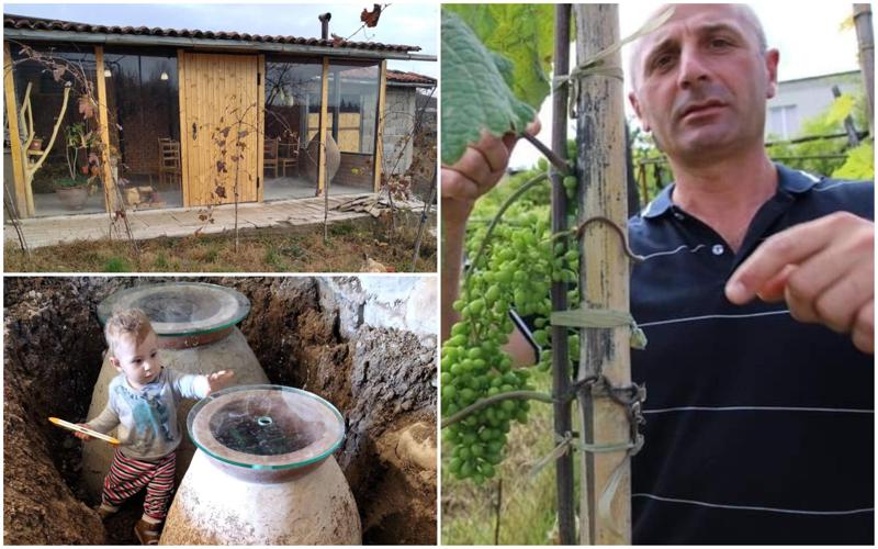 "ჩემი დიდი ბაბუა სოლომონ მეფის მემარნე იყო, ეს საქმე მის სახელზე წამოვიწყე" - საჯარო სამსახურიდან მეურნეობაში წასული კაცი აფხაზური ყურძნის ჯიშებს აშენებს