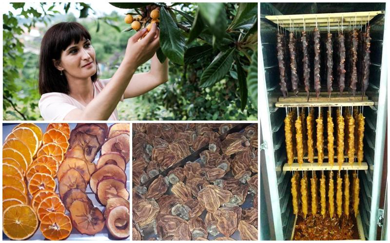 "სოფელი რა იყო, არ ვიცოდი - ნაკვეთში მუშაობა არ მიყვარდა" - გაიცანით ახალგაზრდა ფერმერი, რომელიც მანდარინის ჩურჩხელას და სხვა ინოვაციურ ტკბილეულს ამზადებს