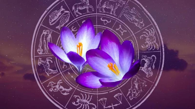 "ჩაიფიქრეთ სურვილი" - როგორ უნდა შევხვდეთ 20 მარტის გაზაფხულის ბუნიობას და ასტრონომიულ ახალ წელს, რომელიც მთელ წელზე მოახდენს გავლენას