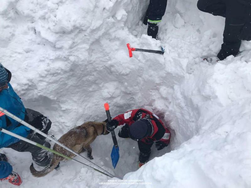 ტრაგედია გუდაურში - მოქალაქე, რომელიც გაუკვალავ თოვლში სრიალებდა, გარდაცვლილი იპოვეს
